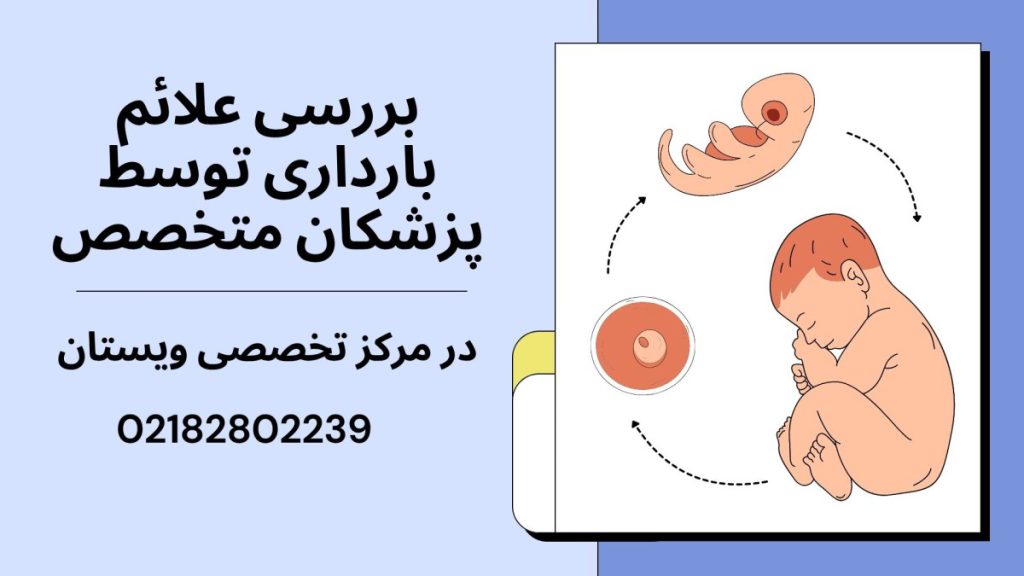 یک چرخه تشکیل جنین