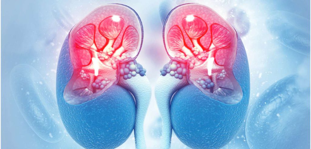 تفاوت اسکن DMSA و DTPA