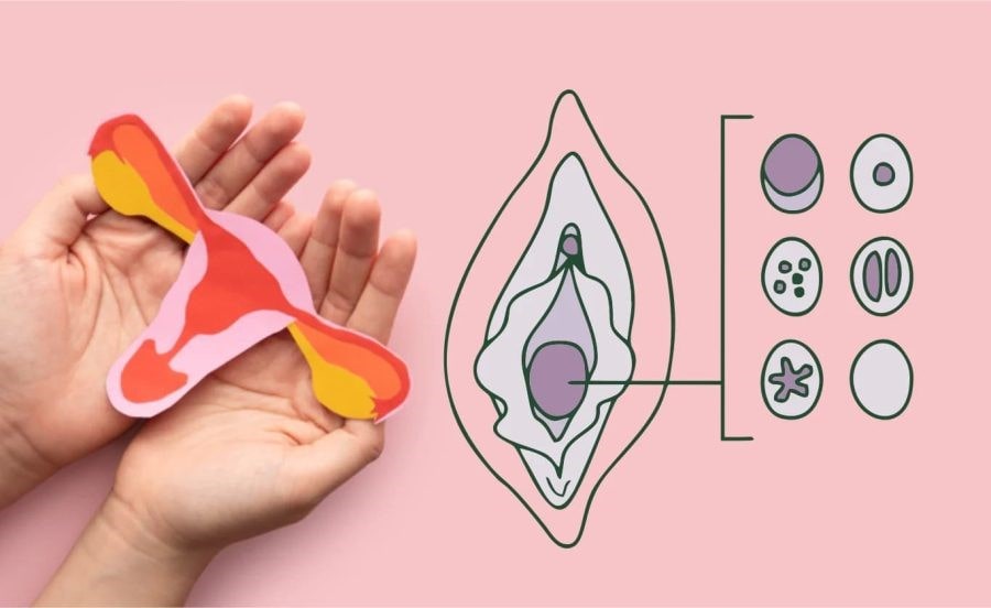 روش های ترمیم بکارت روش های ترمیم بکارت در تهران ۱۴۰۴