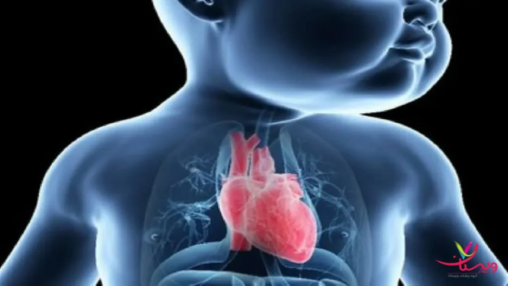 قلب کودک روی نمایشگر اکوکاردیوگرافی بیماری های قلبی در کودکان